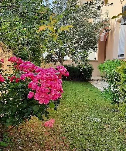 Apartment Apartments Casa Karmen *